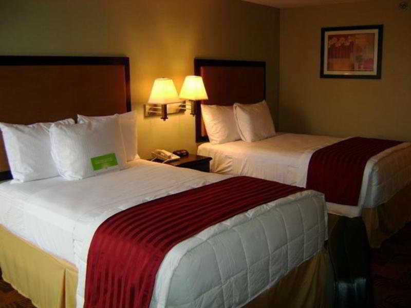 La Quinta By Wyndham Memphis Airport Graceland Rum bild